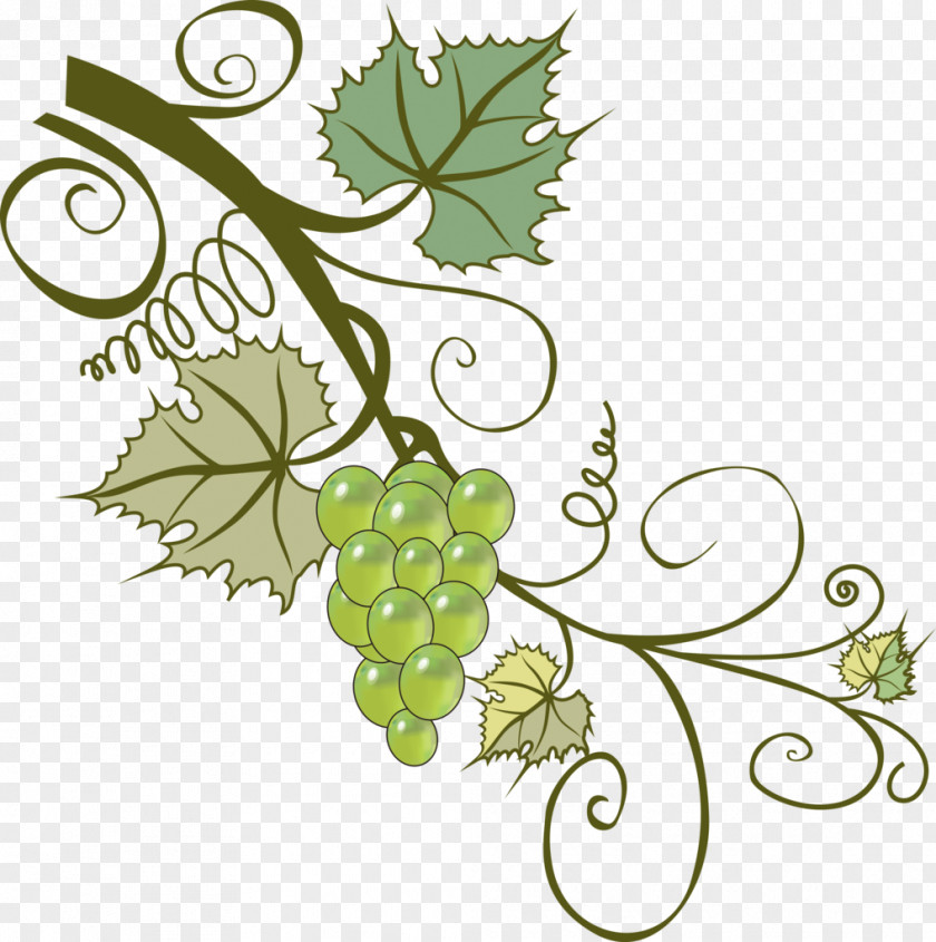 素材中国 Sccnn.com 7 Grapevines Branch Leaf Clip Art PNG
