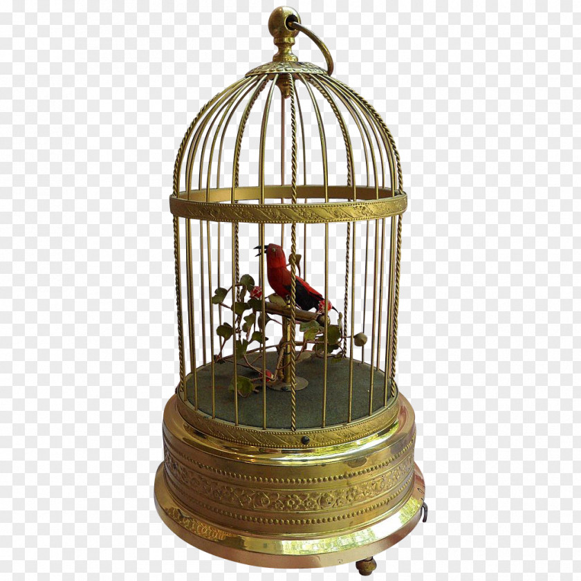 Bird Cage Domestic Canary Parrot 1900s PNG