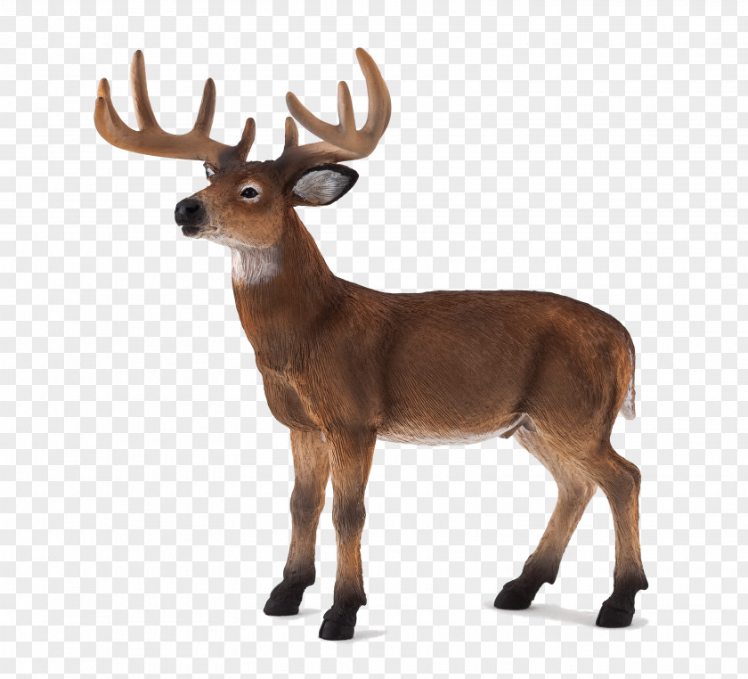 Deer White-tailed Action & Toy Figures Wildlife PNG