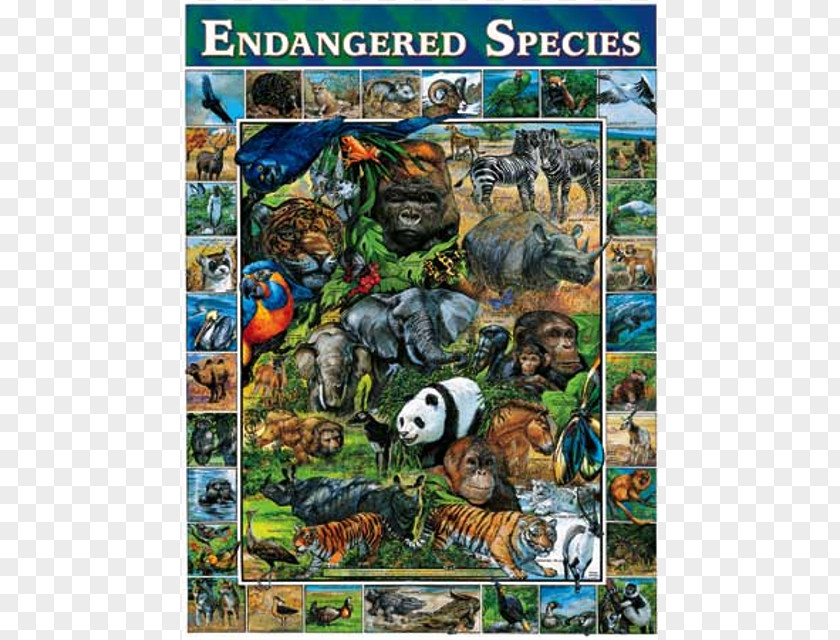 Endangered Species Act Of 1973 Jigsaw Puzzles Or Extinct Animal PNG