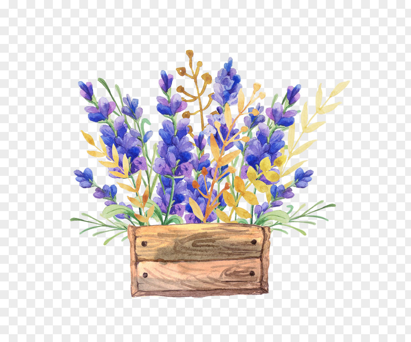 Watercolor Flower Baskets English Lavender Painting Drawing Box PNG