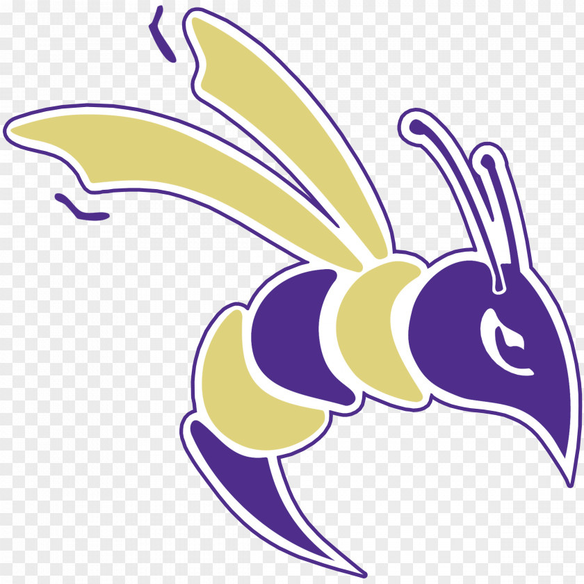 And A Courtesy. Defiance College Ohio Wesleyan University Yellow Jackets Women's Basketball Bluffton John Carroll PNG