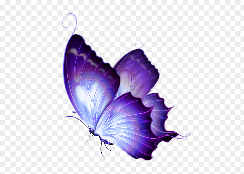 Butterfly Gardening Clip Art PNG