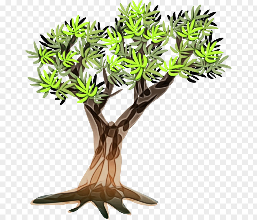 Herb Jade Flower Tree Trunk PNG