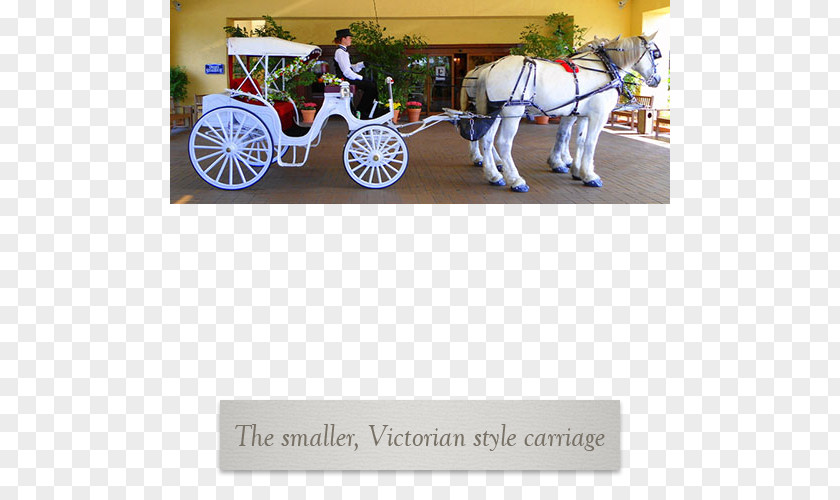 Horse And Carriage Wedding Buggy Wagon Wheel PNG
