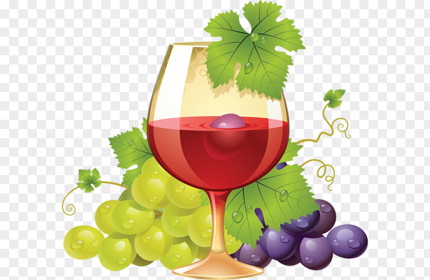 Wine Grape PNG