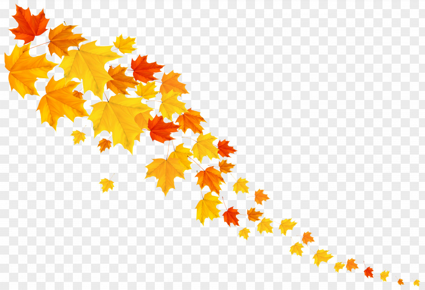 Autumn Leafs Decorative Clipart Image Leaf Yellow Font Pattern PNG
