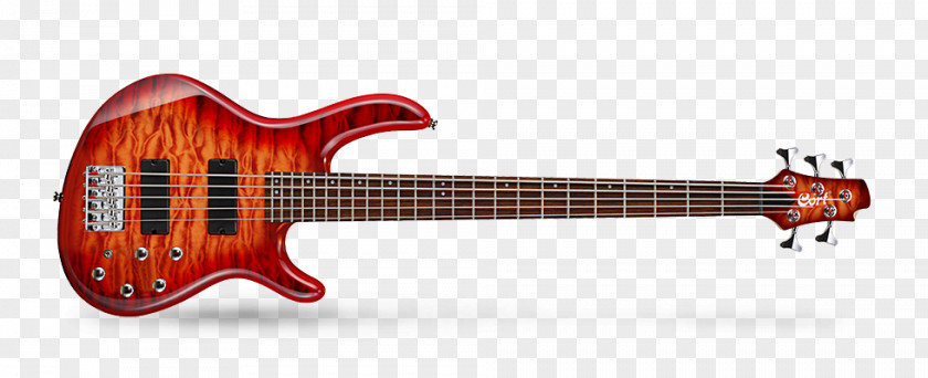 Bass Guitar Fender V Cort Guitars String Instruments PNG
