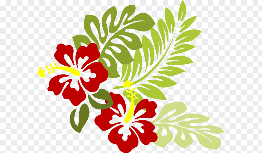 Gumamela Rosemallows Hawaiian Hibiscus Clip Art PNG