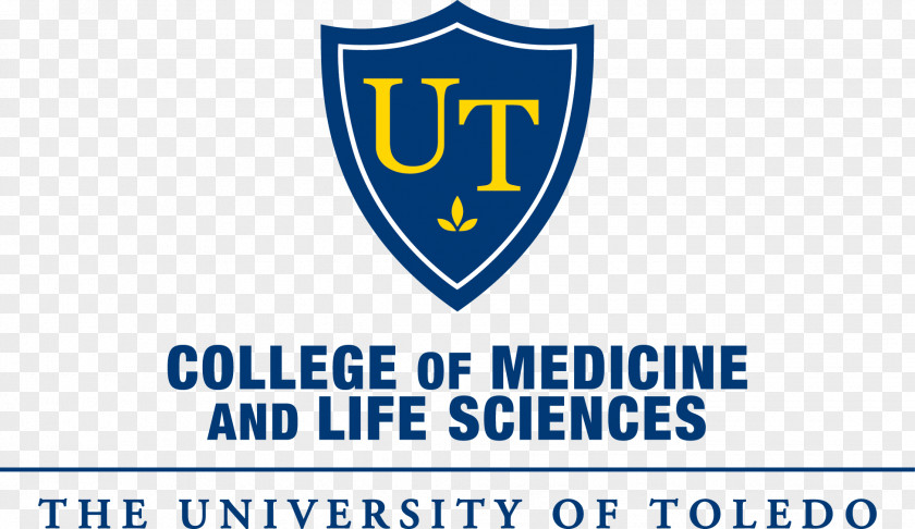 Student University Of Toledo College Medicine And Life Sciences Al-Zaytoonah Jordan PNG