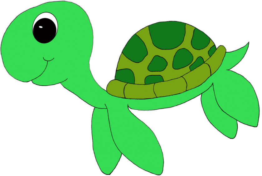 Turtle School Cliparts Green Sea Leatherback Clip Art PNG