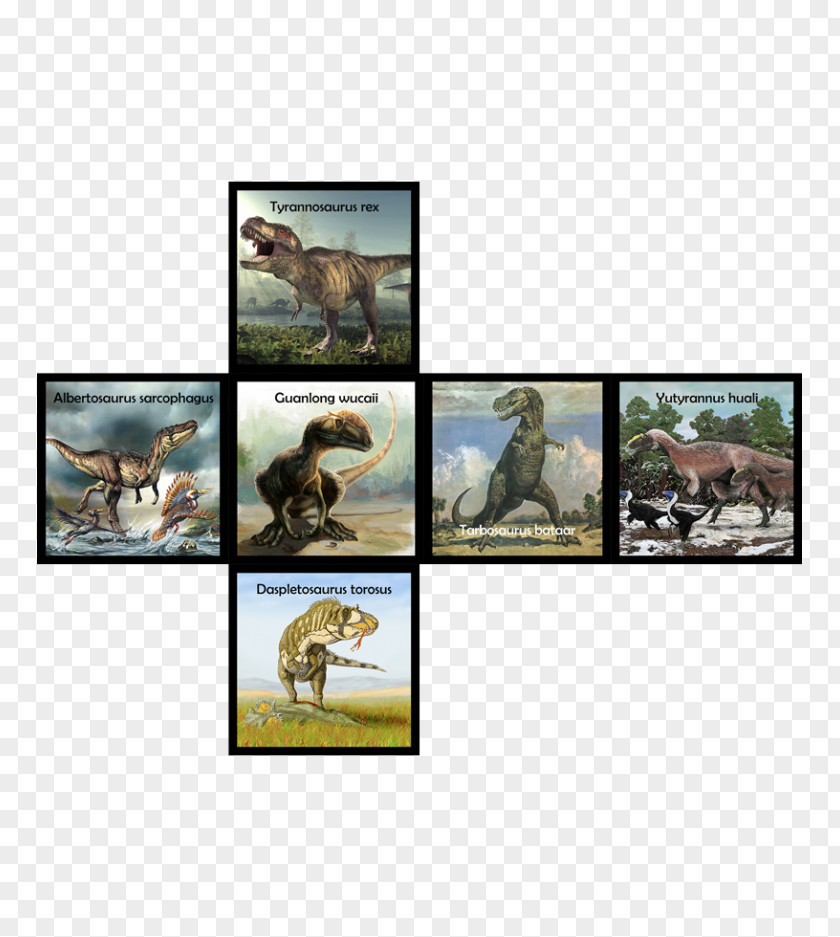 Dinosaur Mammal Ecosystem Fauna Wildlife PNG