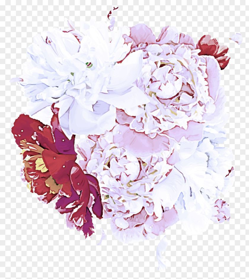 Flowering Plant Bouquet Cut Flowers Lilac Pink Flower Peony PNG