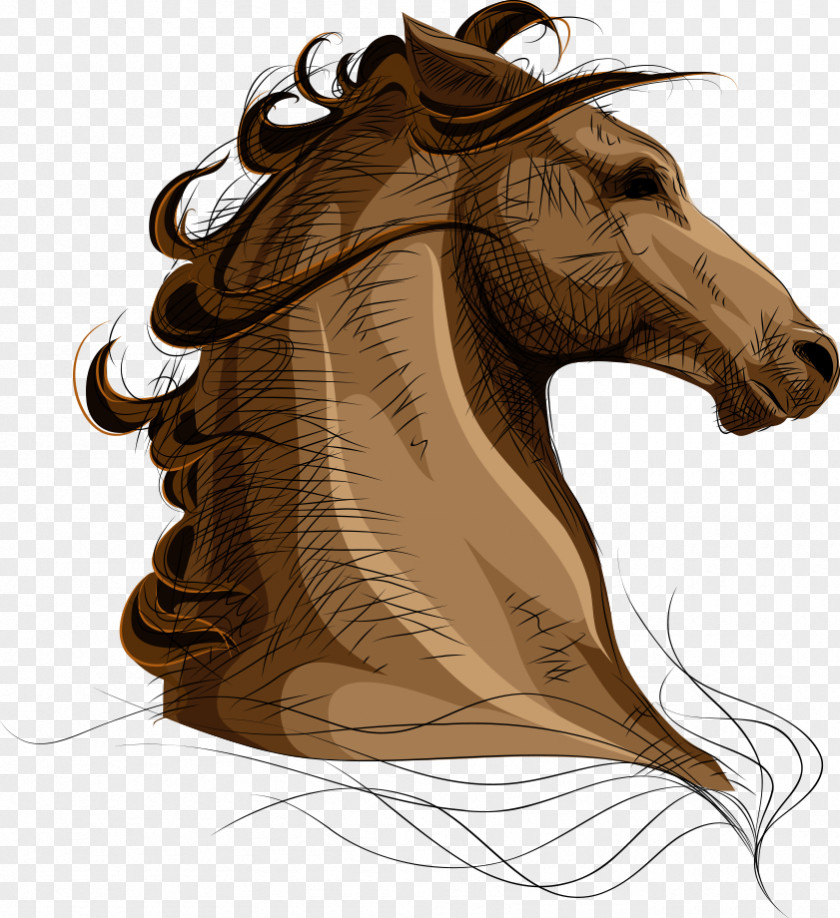 Hand-painted Horse Arabian Pet Equestrianism Illustration PNG