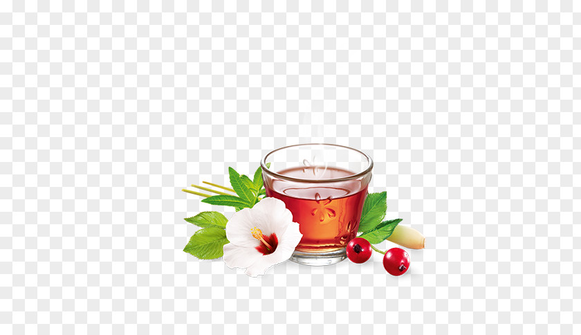 Tea Herbal Biscotti Cafe Sugar PNG