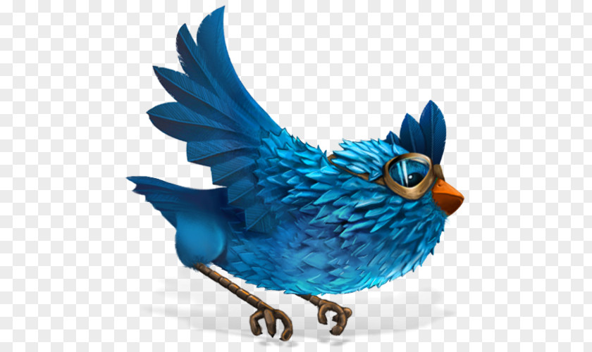 Feather Cobalt Blue Beak PNG