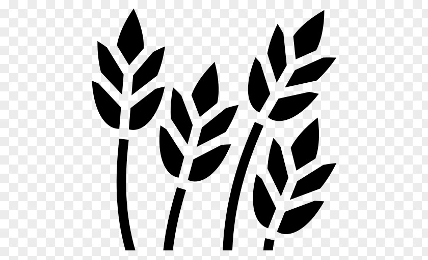 Meal Wheat Food Symbol PNG
