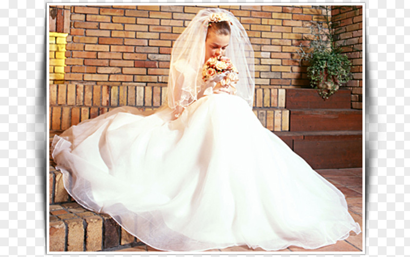 Wedding Dress Bride Portrait Photography PNG