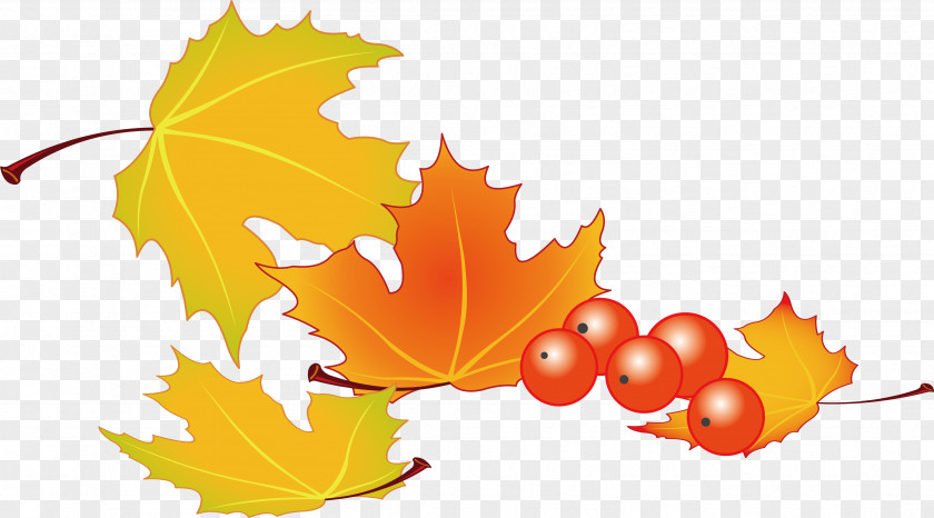 Autumn Leaves Vector Material Leaf PNG