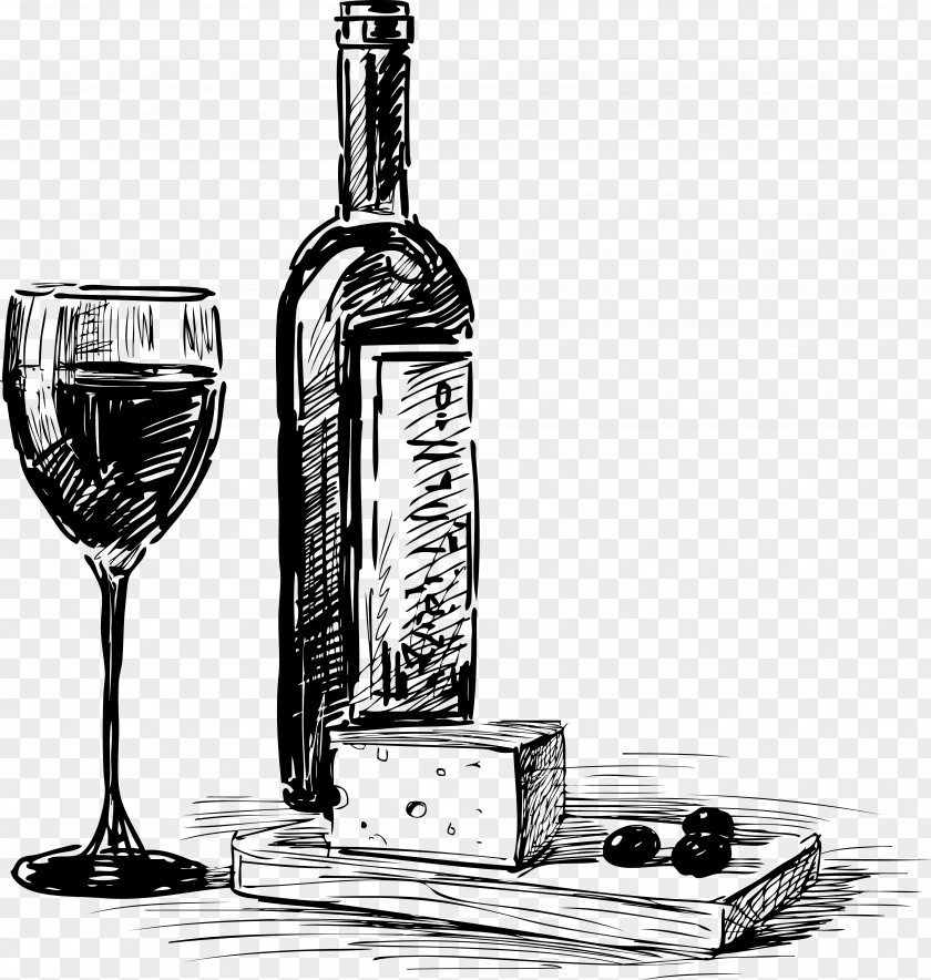 Hand Drawn Sketch Drinks Vector Material Wine Beer Common Grape Vine Happy Hour Bottle PNG