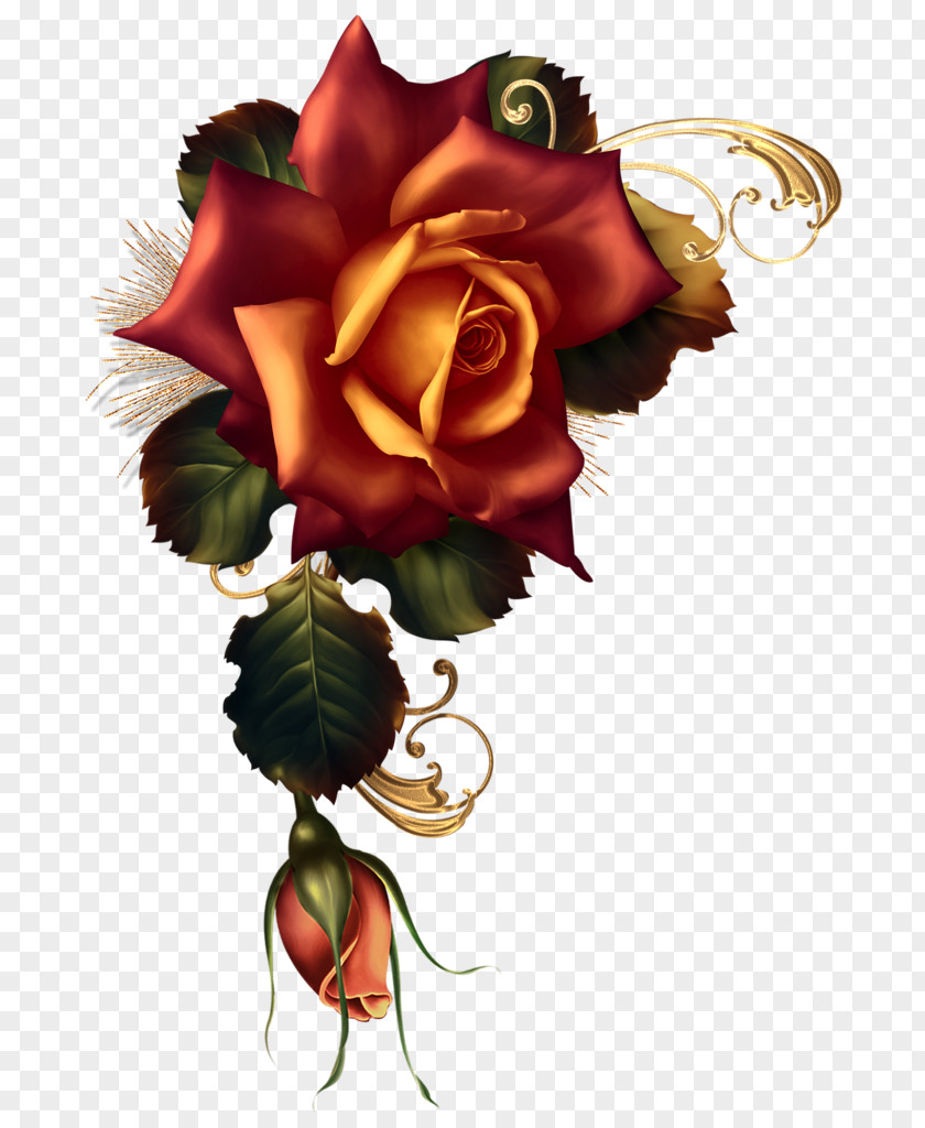 Nasi Image Garden Roses Flower Floral Design Art PNG