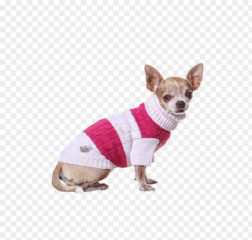 Prince And Princess Dog Breed Chihuahua Companion Clothes Snout PNG