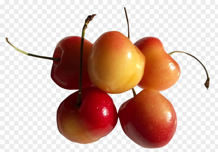 Rainier Cherry Fruit PNG