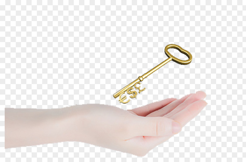 There Is A Key On Hand Download Gratis Drawing PNG