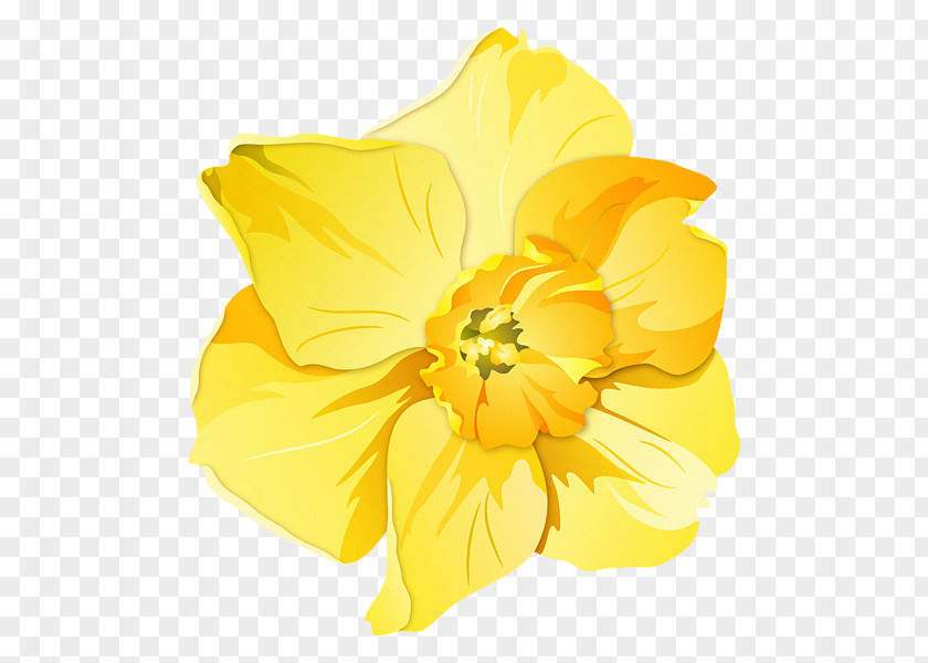 Yellow Sale Daffodil Pin Badges T-shirt Zazzle Clothing Accessories PNG
