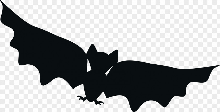 Cartoon Bat Logo Cat PNG