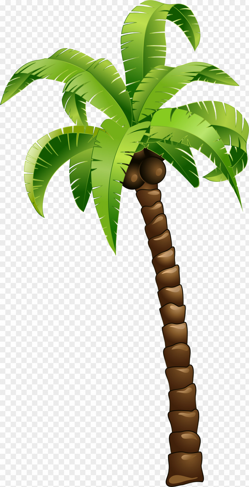 Cartoon Green Coconut Tree PNG