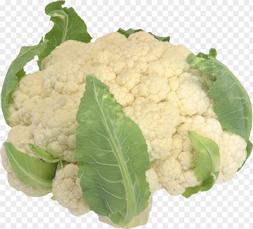 Cauliflower Cabbage Broccoli Clip Art PNG