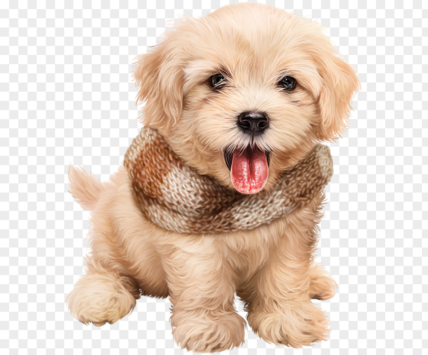 Dog Puppy Desktop Wallpaper Tart Clip Art PNG