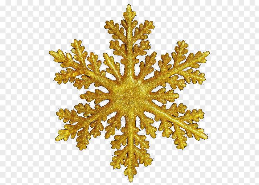 Golden Three-dimensional Snowflake Christmas Decoration Region 4EMS Ambulance Emergency Medical Services Health Care Paramedic PNG