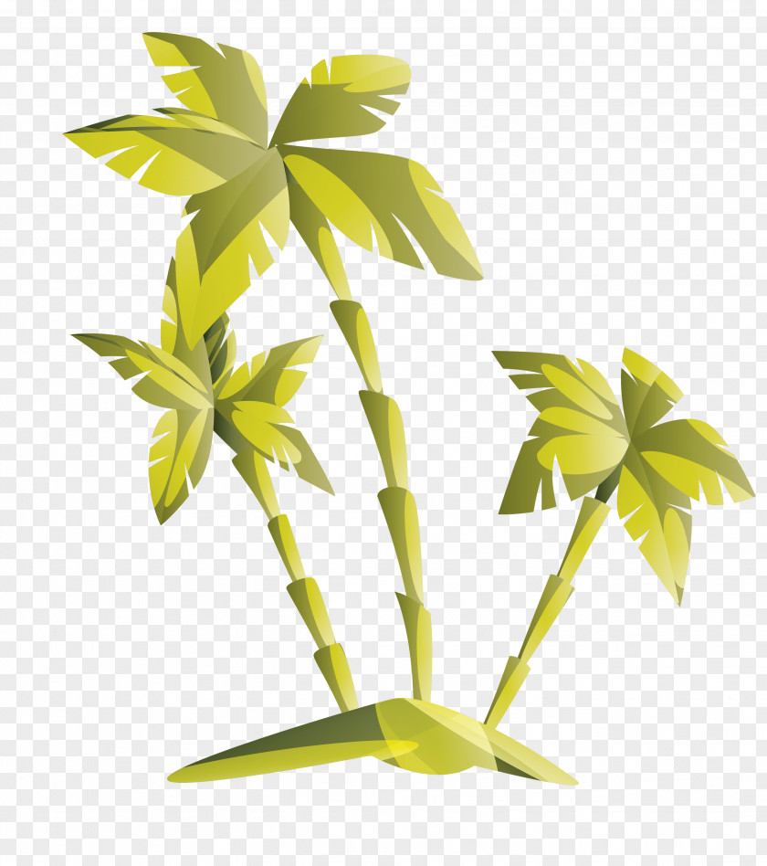 Palm Tree PNG