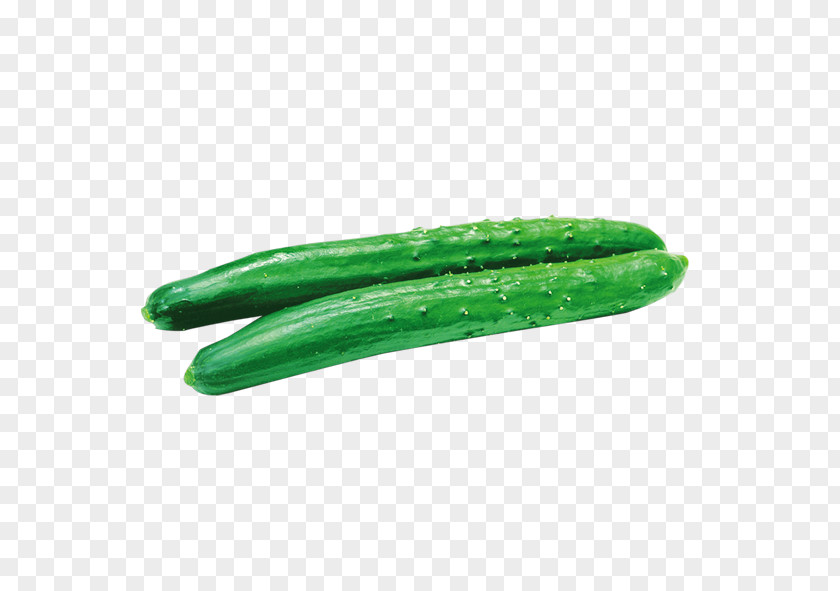 Vegetable Cucumber Pickled PNG