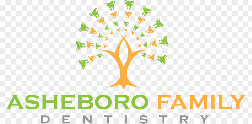 Family Dentistry Office Asheboro Cosmetic Endodontics PNG