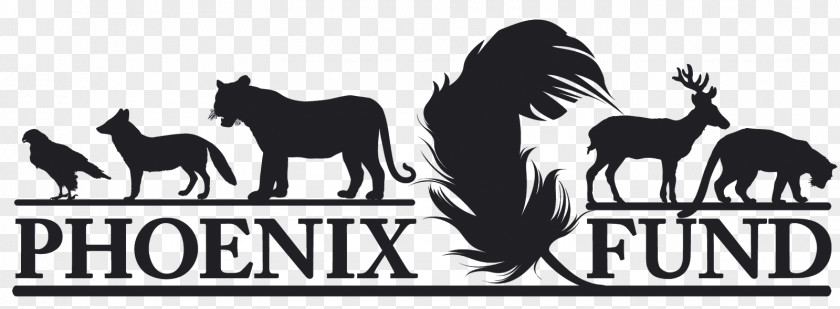 Mustang Phoenix Fund Logo Northeast Asian Leopard Tiger PNG