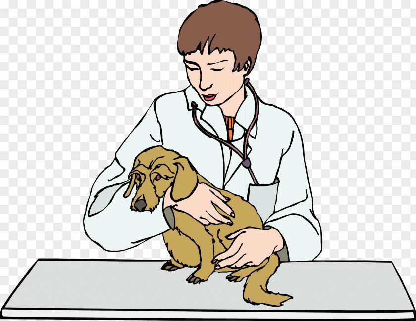 Pet Doctor Paws And Claws: Vet Dog Puppy Veterinarian PNG