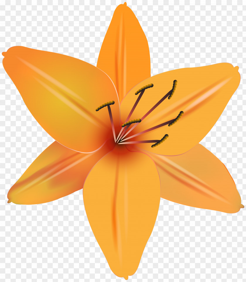 Orange Flower Clip Art Image File Formats Lossless Compression PNG