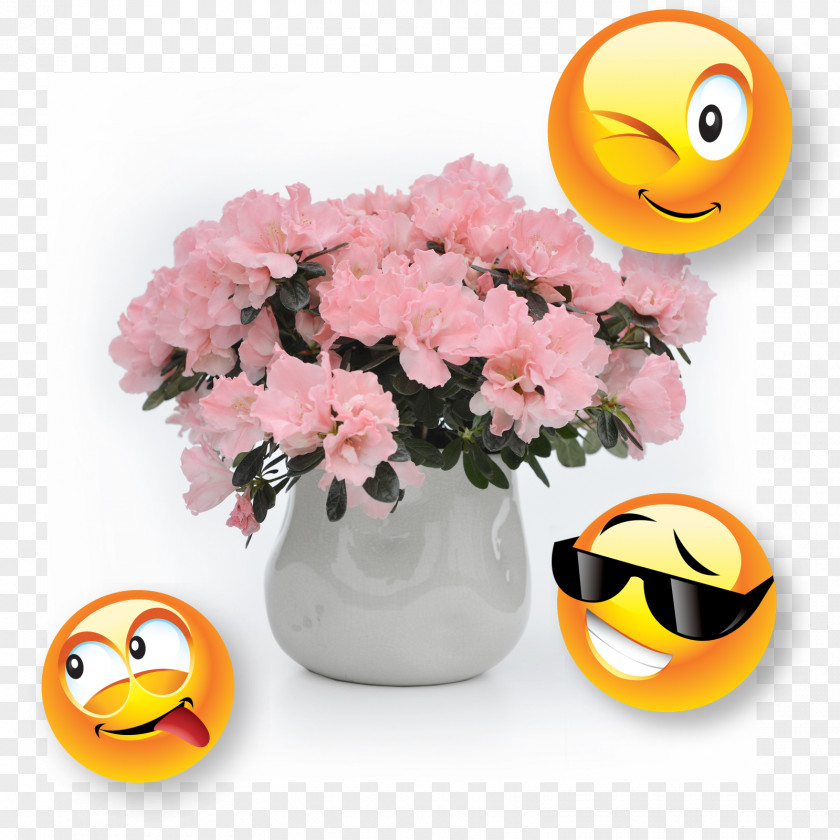 Smiley Cut Flowers Flowerpot PNG