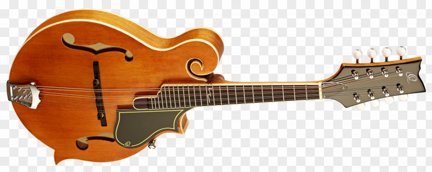 Acoustic Guitar Electric Mandolin Tiple Cavaquinho PNG