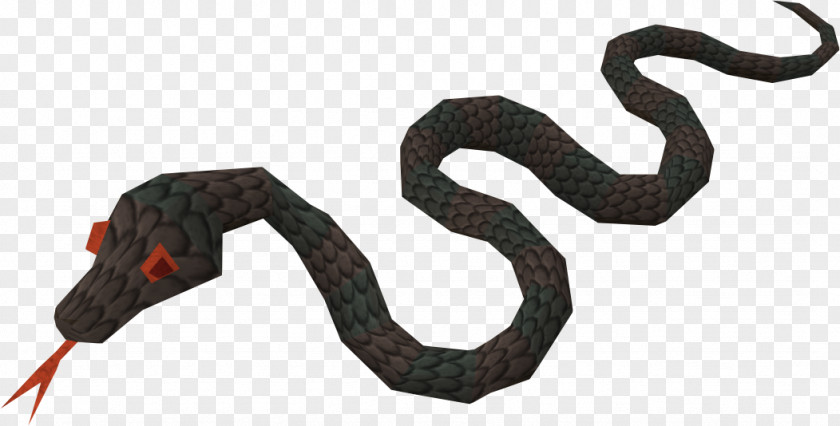 Anaconda Snake Reptile RuneScape Copyright PNG