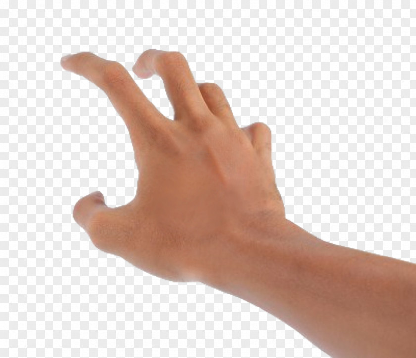 Hands 4 Hand Arm Clip Art PNG