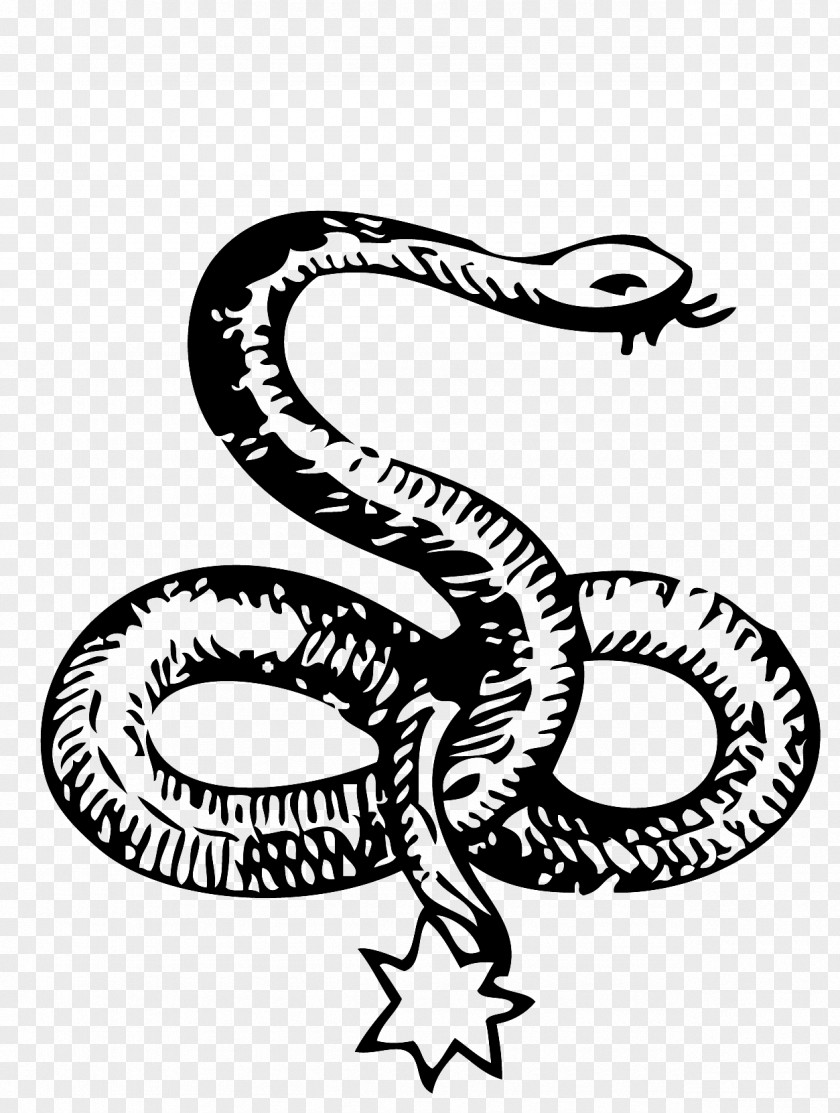 Serpent Snake Symbol Paganism Celtic Knot PNG