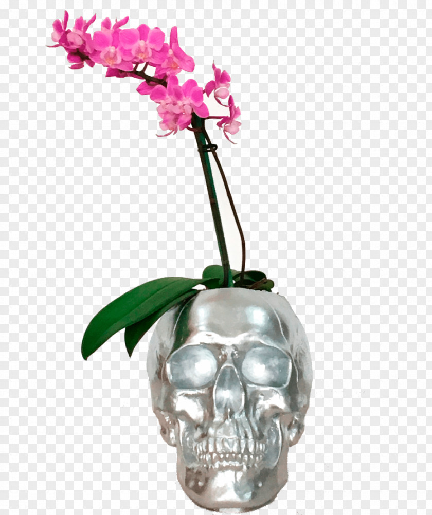 Skull Cut Flowers Flowerpot Flowering Plant PNG