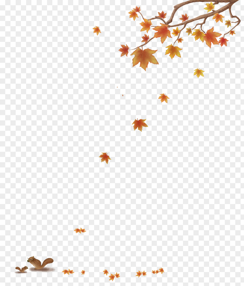 Autumn Leaves Maple Leaf PNG