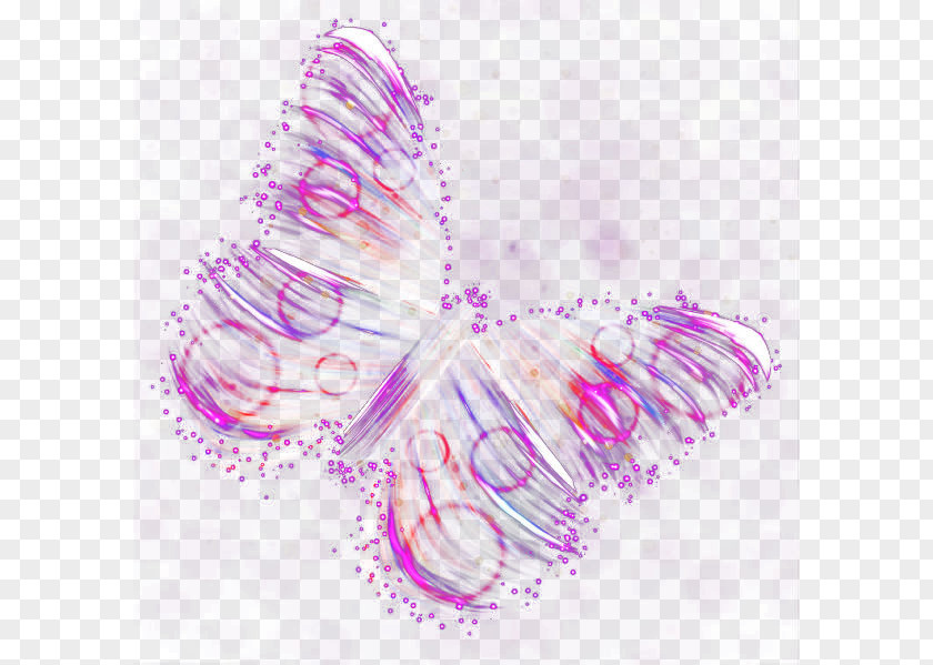 Colorful Butterfly Petal Pattern PNG