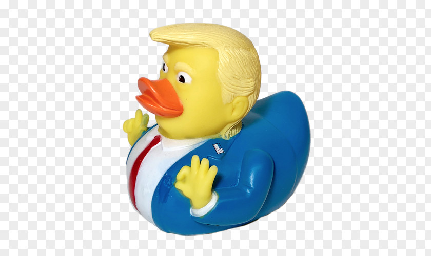 Duck Donald Crippled America Rubber Bathtub PNG