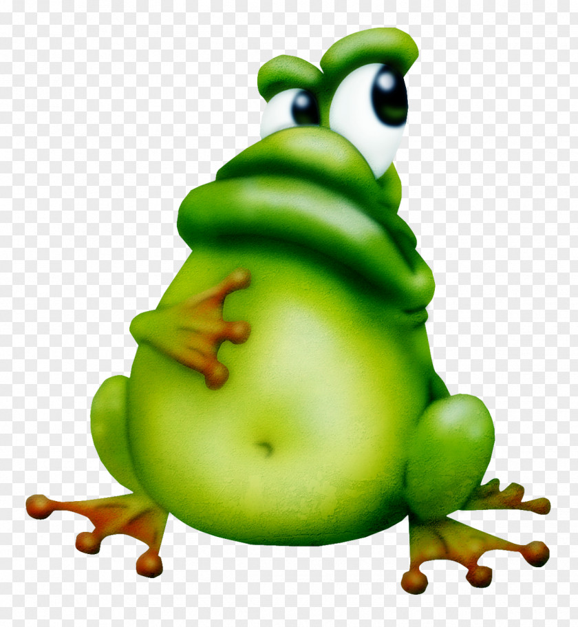 Frog Amphibian True Tree PNG